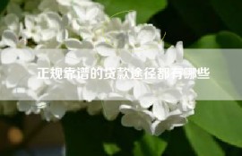 正规靠谱的贷款途径都有哪些