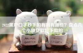 2022黑户口子秒下的有吗有哪些？盘点几个小额贷款好下款的