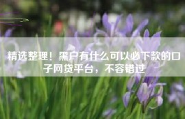 精选整理！黑户有什么可以必下款的口子网贷平台，不容错过