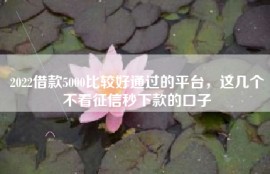 2022借款5000比较好通过的平台，这几个不看征信秒下款的口子