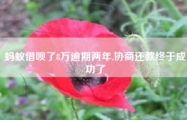 蚂蚁借呗了8万逾期两年,协商还款终于成功了