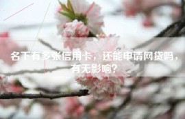 名下有多张信用卡，还能申请网贷吗，有无影响？