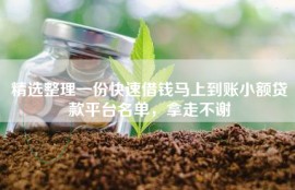 精选整理一份快速借钱马上到账小额贷款平台名单，拿走不谢