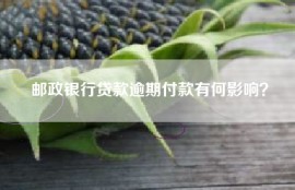 邮政银行贷款逾期付款有何影响？