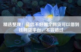 精选整理！征信不好哪个网贷可以借到钱网贷平台，不容错过
