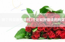 哪个网贷最好借钱,5个比较好借钱的网贷