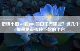 借钱小额500到1000的口子有哪些？这几个都是免审核秒下款的平台