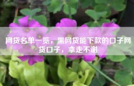 网贷名单一览，黑网贷能下款的口子网贷口子，拿走不谢
