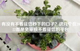 有没有不看征信秒下的口子？这几个在2022都是免审核不看征信的平台