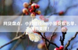 网贷盘点，小额借钱2000小额贷款名单，值得关注！