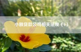 小额贷款公司相关法规（1）