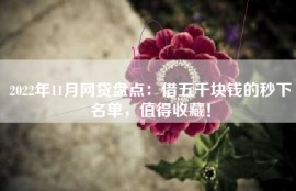 2022年11月网贷盘点：借五千块钱的秒下名单，值得收藏！