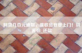 网贷几百元逾期，催收员竟要上门！别害怕_还款