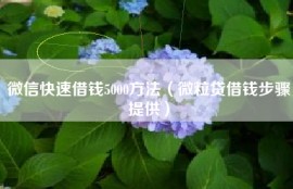 微信快速借钱5000方法（微粒贷借钱步骤提供）