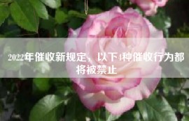 2022年催收新规定，以下4种催收行为都将被禁止