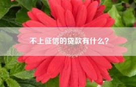 不上征信的贷款有什么？