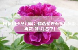 网贷口子热门篇：精选整理有微粒贷能再贷1到5万名单！