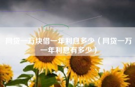 网贷一万块借一年利息多少（网贷一万一年利息有多少）