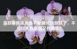 贷款审核成功是不是就可以放款了，不可以失败原因又有哪些？
