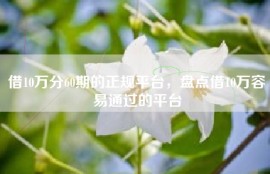 借10万分60期的正规平台，盘点借10万容易通过的平台