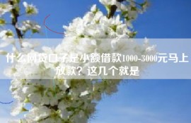 什么网贷口子是小额借款1000-3000元马上放款？这几个就是