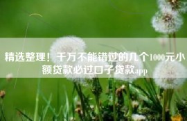精选整理！千万不能错过的几个1000元小额贷款必过口子贷款app