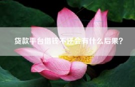 贷款平台借钱不还会有什么后果？