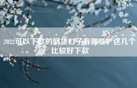 2022可以下款的网贷口子有哪些？这几个比较好下款