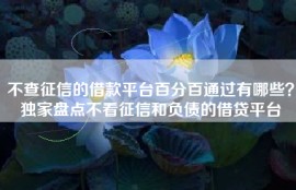 不查征信的借款平台百分百通过有哪些？独家盘点不看征信和负债的借贷平台