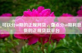 可以分60期的正规网贷，盘点分60期利息低的正规贷款平台