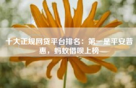 十大正规网贷平台排名：第一是平安普惠，蚂蚁借呗上榜