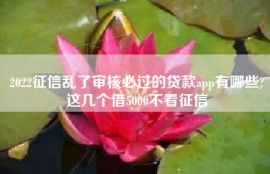 2022征信乱了审核必过的贷款app有哪些?这几个借5000不看征信