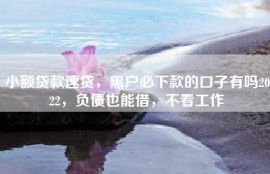 小额贷款速贷，黑户必下款的口子有吗2022，负债也能借，不看工作