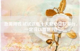 急需用钱,试试这些十大良心贷款平台，一定可以借到的！