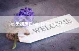 2022无视黑白100%秒下1000 贷款app