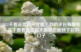 2022不看征信的一定能下款的平台有哪些？几个查看征信和大数据也能秒下款的口子