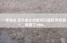 一条短信,说不看征信就可以借款,然后我就借了20000