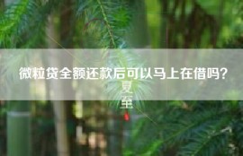 微粒贷全额还款后可以马上在借吗？