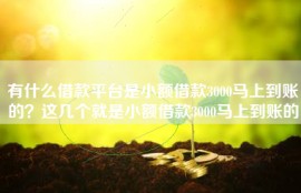 有什么借款平台是小额借款3000马上到账的？这几个就是小额借款3000马上到账的