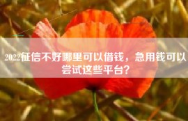 2022征信不好哪里可以借钱，急用钱可以尝试这些平台？