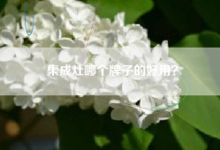 集成灶哪个牌子的好用？
