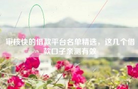 审核快的借款平台名单精选，这几个借款口子亲测有效