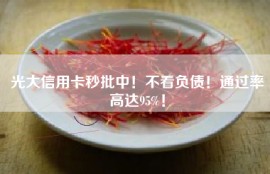 光大信用卡秒批中！不看负债！通过率高达95%！