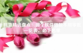 网贷精选盘点：哪个软件借款不用审批一览表，必下名单