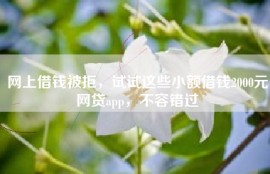 网上借钱被拒，试试这些小额借钱2000元网贷app，不容错过
