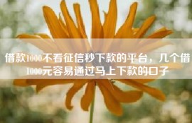 借款1000不看征信秒下款的平台，几个借1000元容易通过马上下款的口子