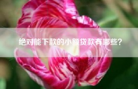 绝对能下款的小额贷款有哪些？