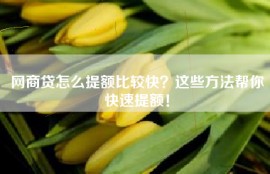 网商贷怎么提额比较快？这些方法帮你快速提额！