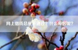 网上借钱总是不通过？什么原因呢？