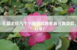 全新上线几个小额贷款哪里最可靠贷款，分享！